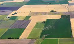 Terrenos